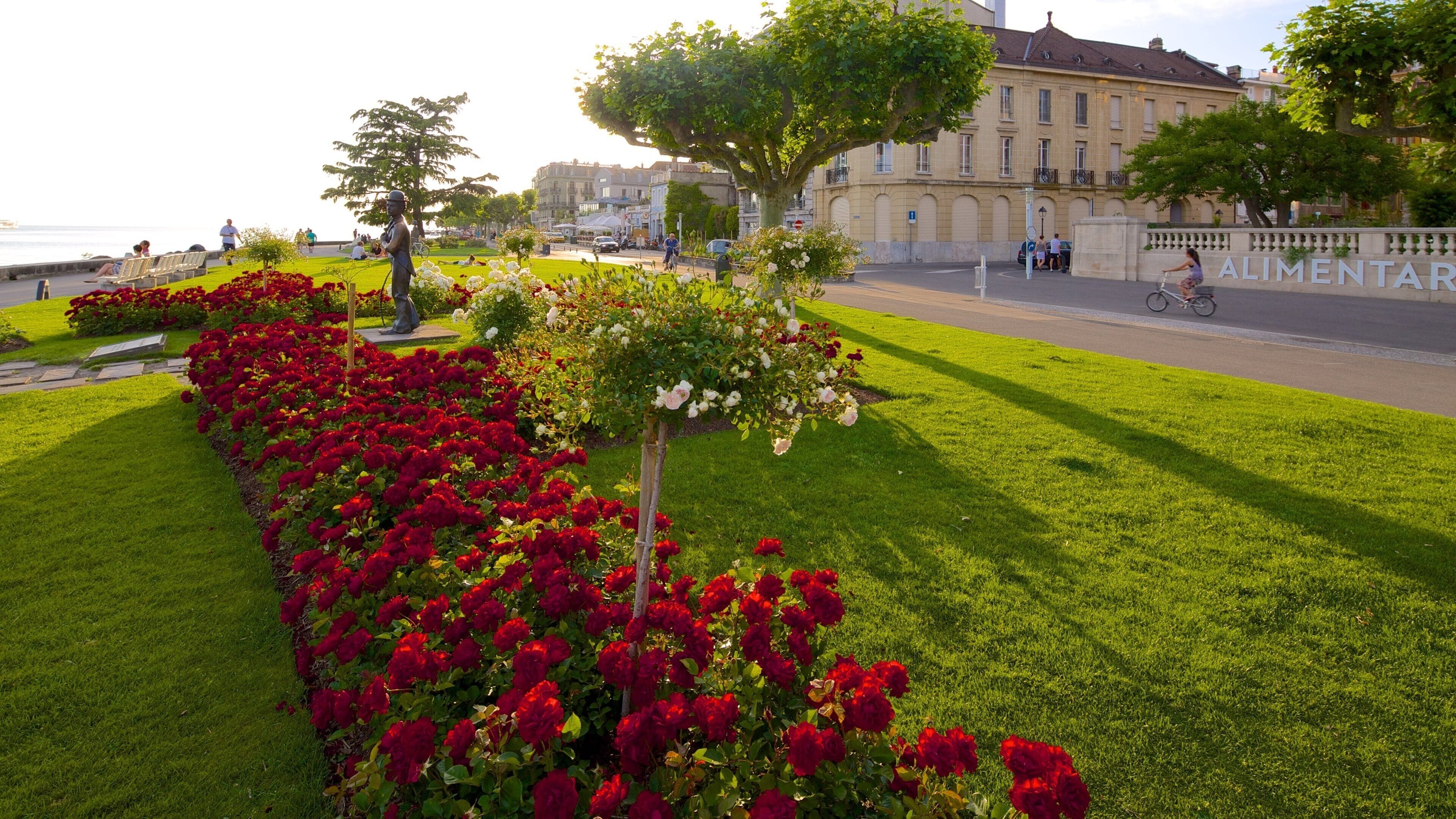 Vevey mostrando flores y un parque