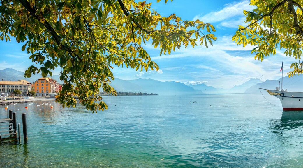 Landscape with wharf and touristic old ferry on Geneva Lake in Vevey town. Vaud canton, Switzerland