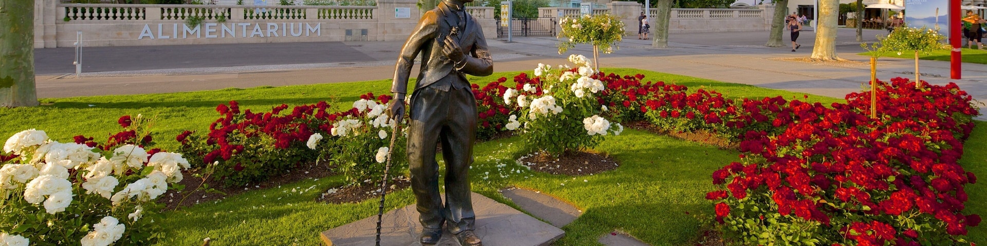 Vevey which includes a park, outdoor art and flowers