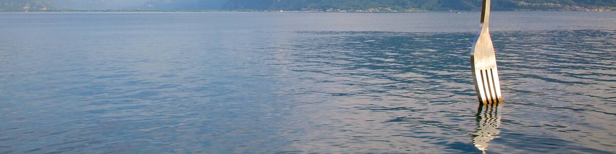 Vevey das einen See oder Wasserstelle und Outdoor-Kunst