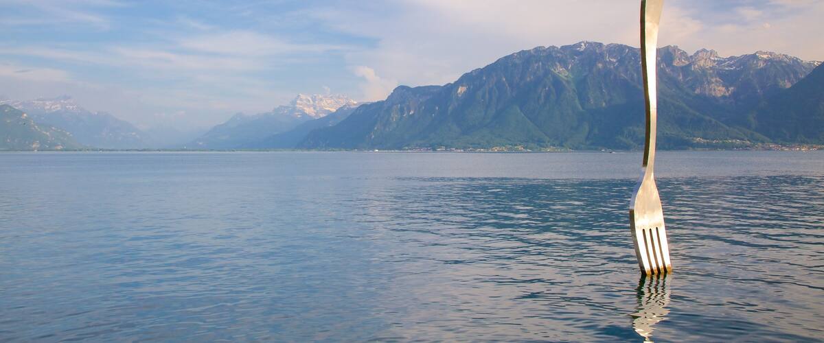 Vevey showing a lake or waterhole and outdoor art