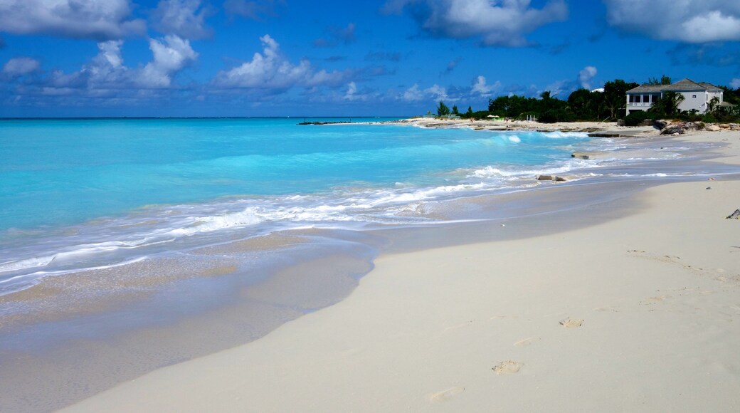 Grace Bay welches beinhaltet Strand, Haus und tropische Szenerien