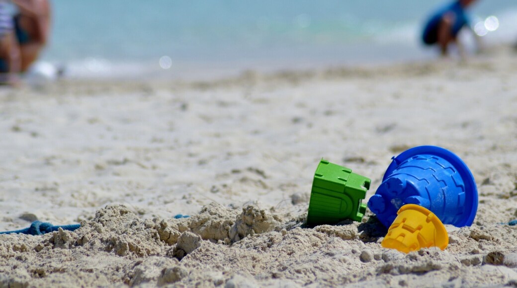 What a beach! what an island! take the LKs back there now
#LKsAwayDays #BeachBound