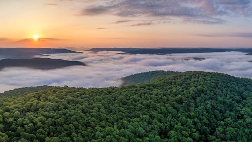 A foggy sunrise over the Arkansas Ozark Mountains - Calftail Cut on Hightway 43 near Centerpoint