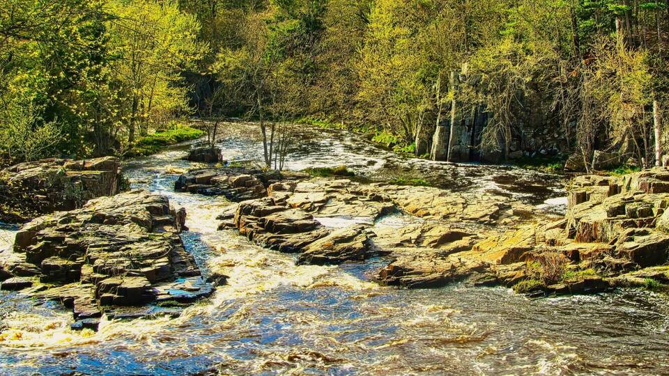 A rocky riverbed with clear water, surrounded by dense forest.