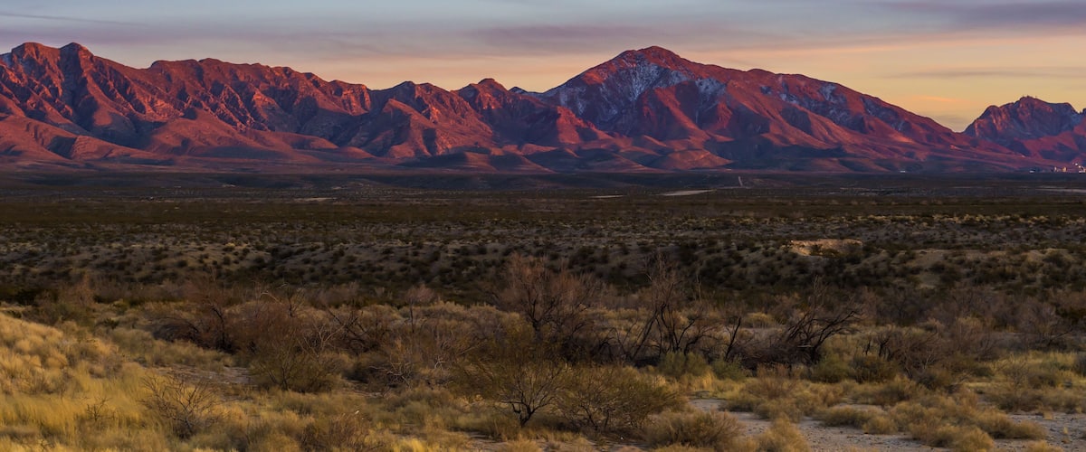 A desert landscape with red rock mountains and sparse vegetation.
