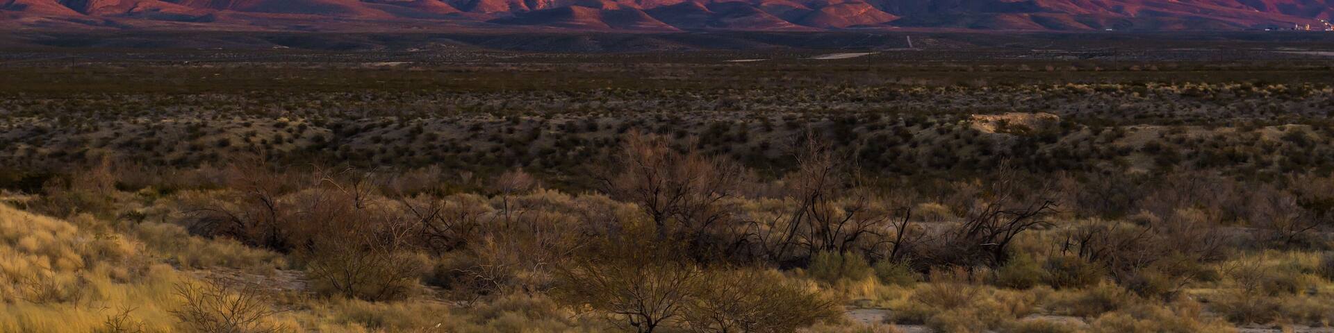 A desert landscape with red rock mountains and sparse vegetation.