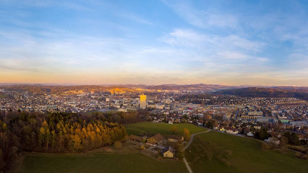 A panoramic view of a city with a prominent tower, surrounded by forests and hills.