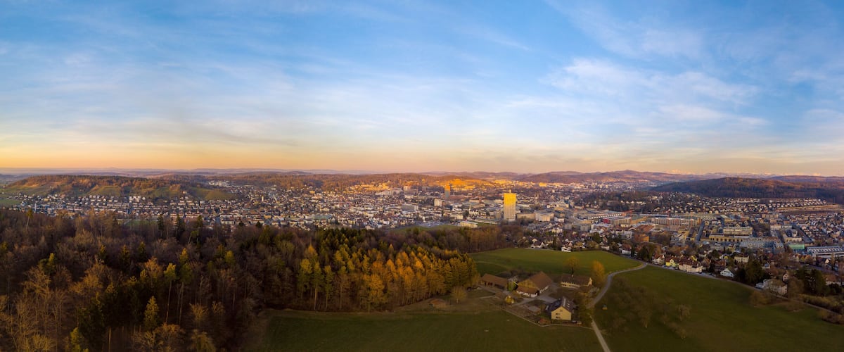 A panoramic view of a city with a prominent tower, surrounded by forests and hills.
