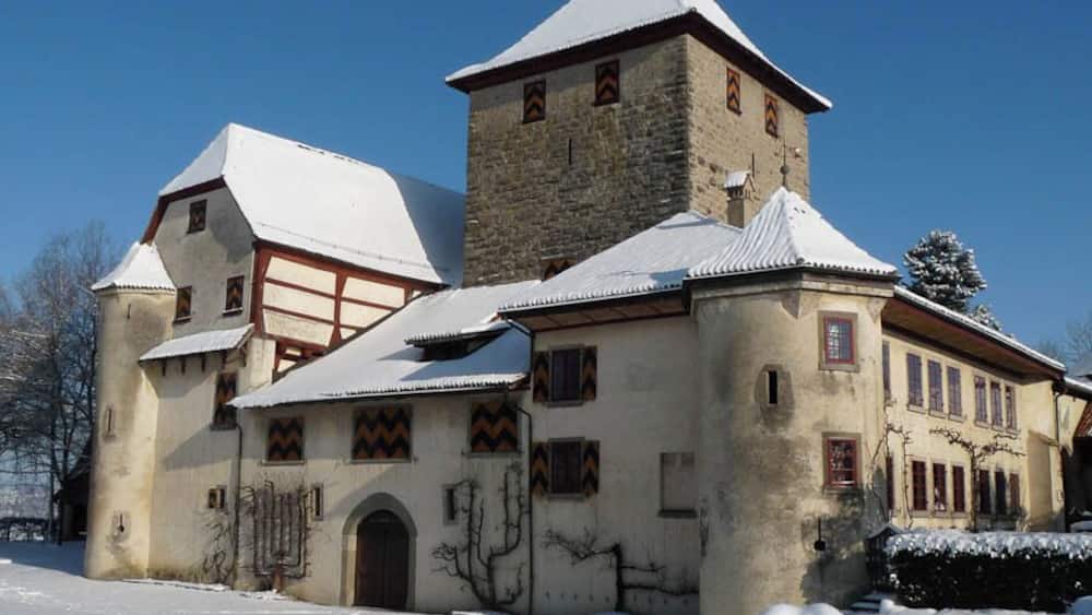 The castle of Hegi in the eastern part of Winterthur in Switzerland.
Beautiful castle in the winterlandscape of Switzerland.
It is a Swiss heritage site of national significance.
#snow