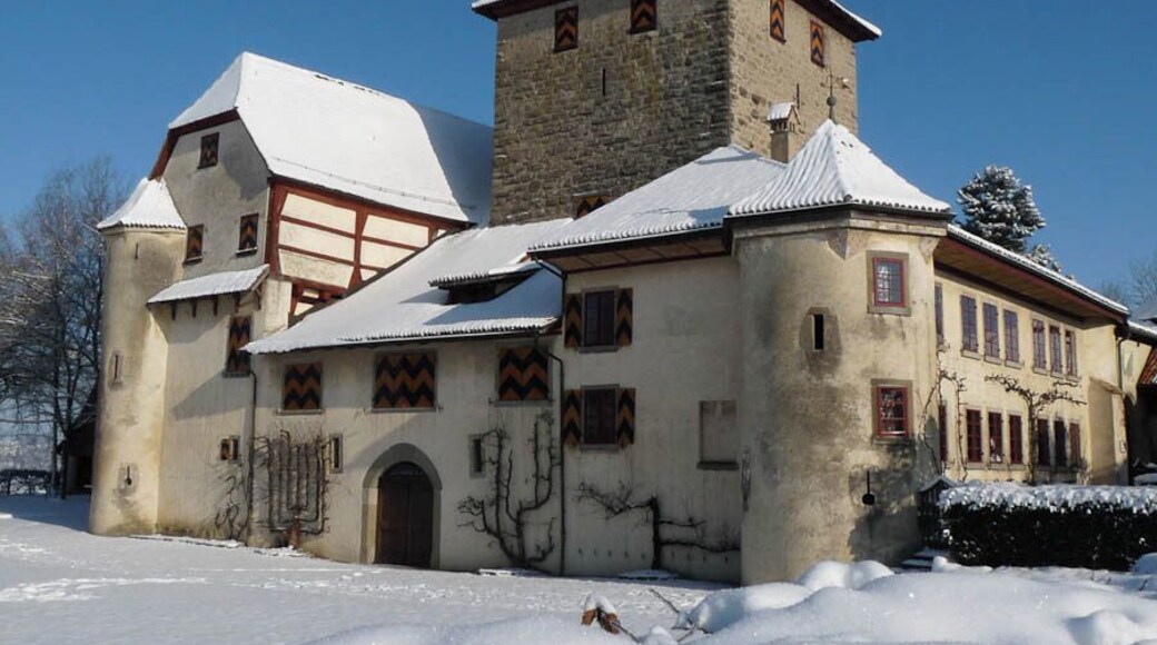 The castle of Hegi in the eastern part of Winterthur in Switzerland.
Beautiful castle in the winterlandscape of Switzerland.
It is a Swiss heritage site of national significance.
#snow