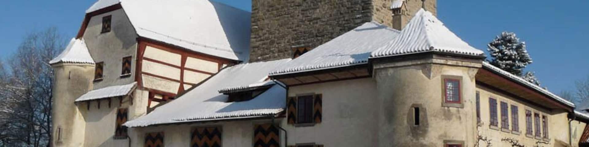 The castle of Hegi in the eastern part of Winterthur in Switzerland.
Beautiful castle in the winterlandscape of Switzerland.
It is a Swiss heritage site of national significance.
#snow