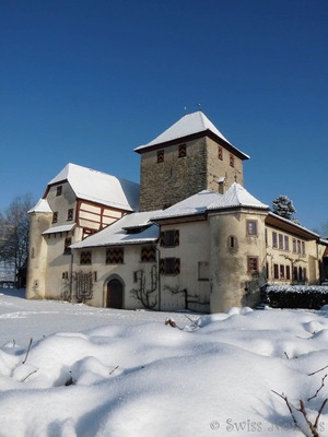 The castle of Hegi in the eastern part of Winterthur in Switzerland.
Beautiful castle in the winterlandscape of Switzerland.
It is a Swiss heritage site of national significance.
#snow
