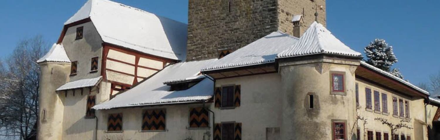 The castle of Hegi in the eastern part of Winterthur in Switzerland.
Beautiful castle in the winterlandscape of Switzerland.
It is a Swiss heritage site of national significance.
#snow