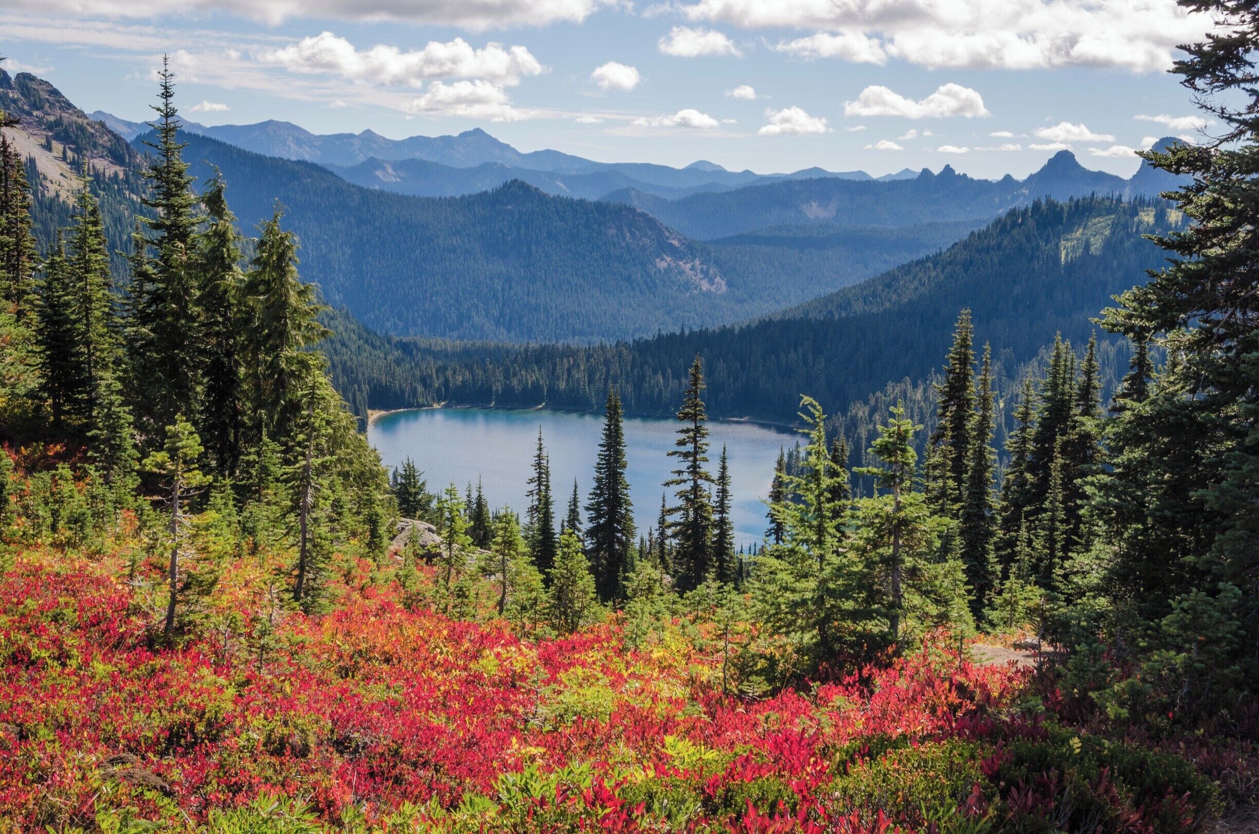 Dewey Lake on the Naches Peak Loop trail
#lifeatexpedia #GreatOutdoors #Nature