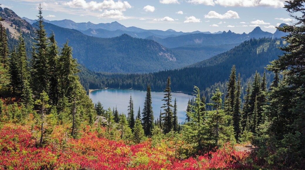 Dewey Lake on the Naches Peak Loop trail
#lifeatexpedia #GreatOutdoors #Nature