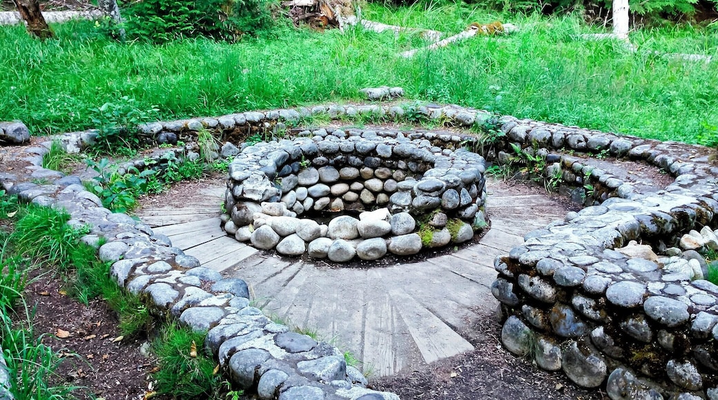 The remains of Soda Springs, one of 49 mineral spring that attracted visitors to this area in the late 1800s and early 1900s. The springs were developed by the Longmire family, who first settled the area in 1883 after building a wagon trail from Ashford, 13 miles (21 km) away. In addition to improving the springs, the Longmires constructed a series of cabins, tents, a 5-room hotel, and hiking trails to Paradise.
By 1915 the Longmires and the National Park were no longer seeing eye-to-eye, and the Longmires leased the property to a hotelier, who improved and continued to operate the springs until the National Park Service purchased the property in 1939. You can read a bit more about the area's history here: http://bit.ly/1vkU4C4
You can visit the remains of a few mineral springs and an 1888 cabin by hiking the short and flat Trail of Shadows loop (0.7 mi/1.1 km). It's an easy walk, and there's a nice view of Mount Rainier from the meadows.