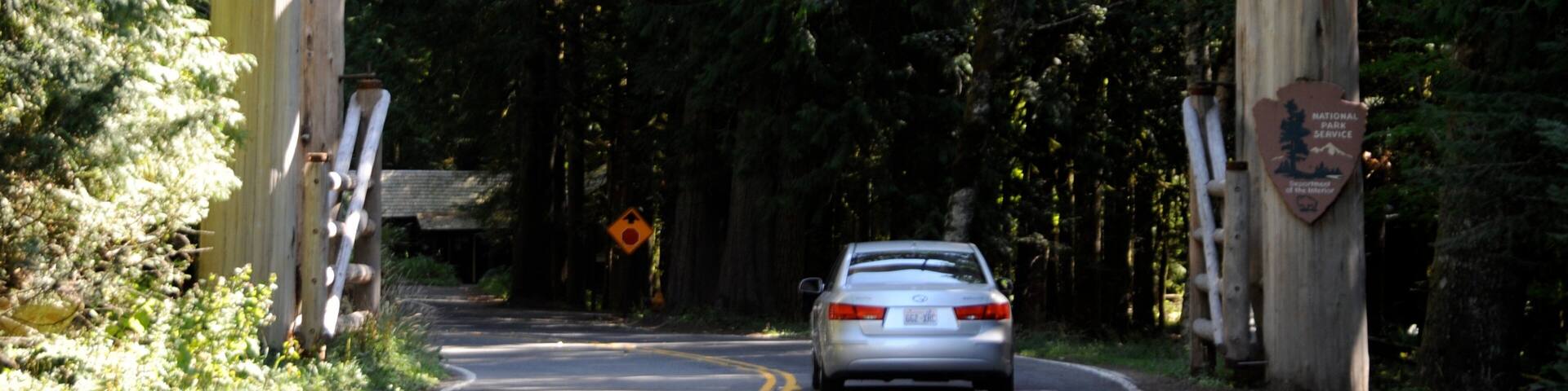 Ashford showing signage and forest scenes