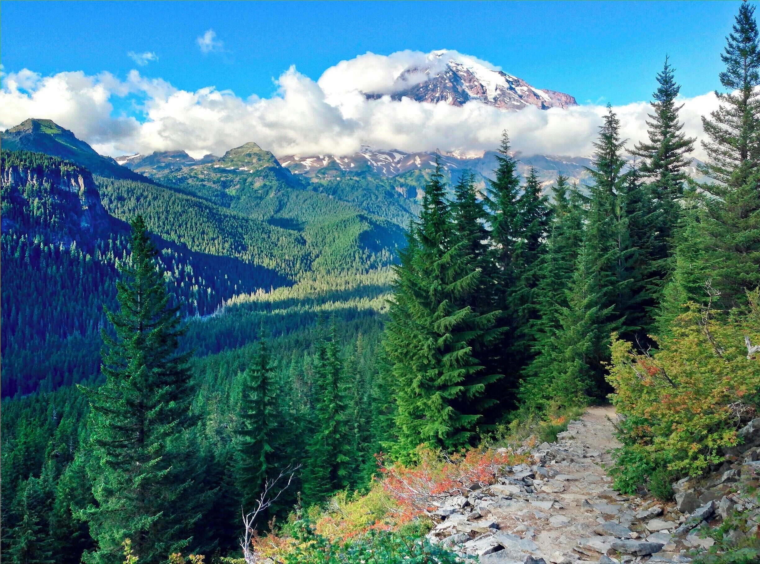 Your reward for hiking 1400ft (426m) up Rampart Ridge is a great view of Mount Rainier and the forested Nisqually River valley.  The hike is open year round, so you can get your Mount Rainier fix even in January!  The loop is 4.6 miles (7.4km) long and departs from the Longmire parking lot.