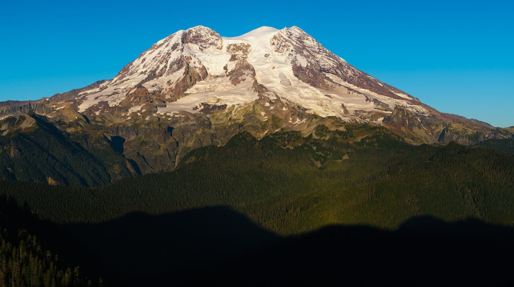 Autumn Light, Mount Rainier, Washington, 2016