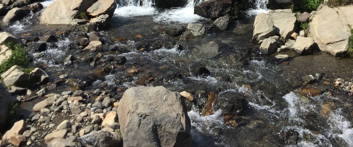 My Rainer is a blast