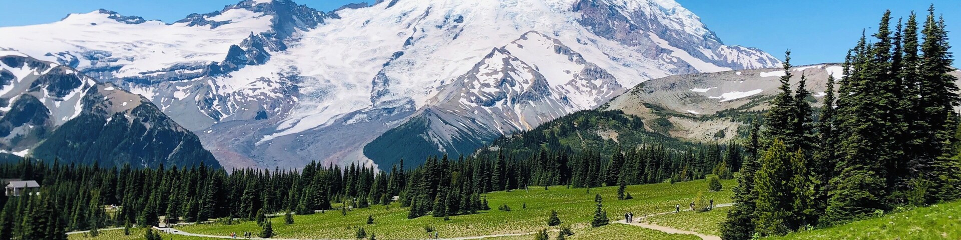 Un sendero de montaña que conduce a un pico nevado, con árboles de hoja perenne y un cielo azul despejado.