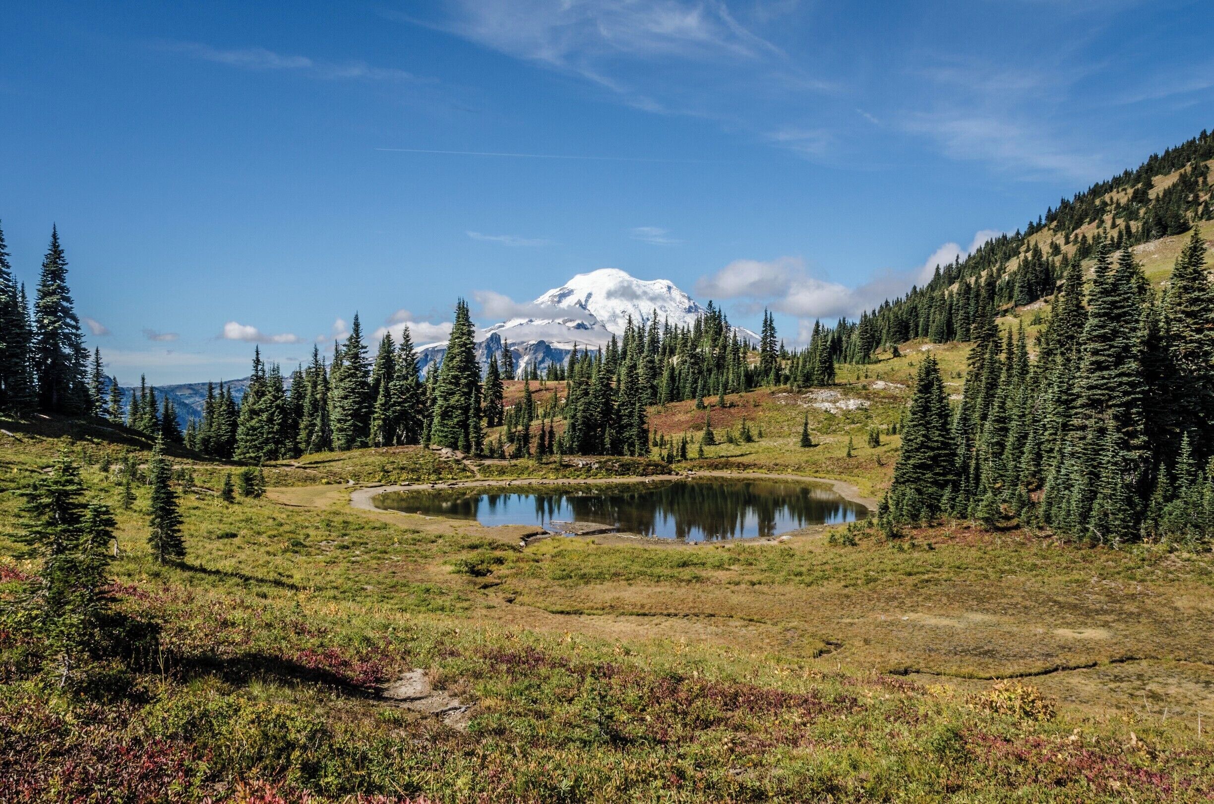 Easy trail with great views of Mt Rainier
#lifeatexpedia #GreatOutdoors #Nature