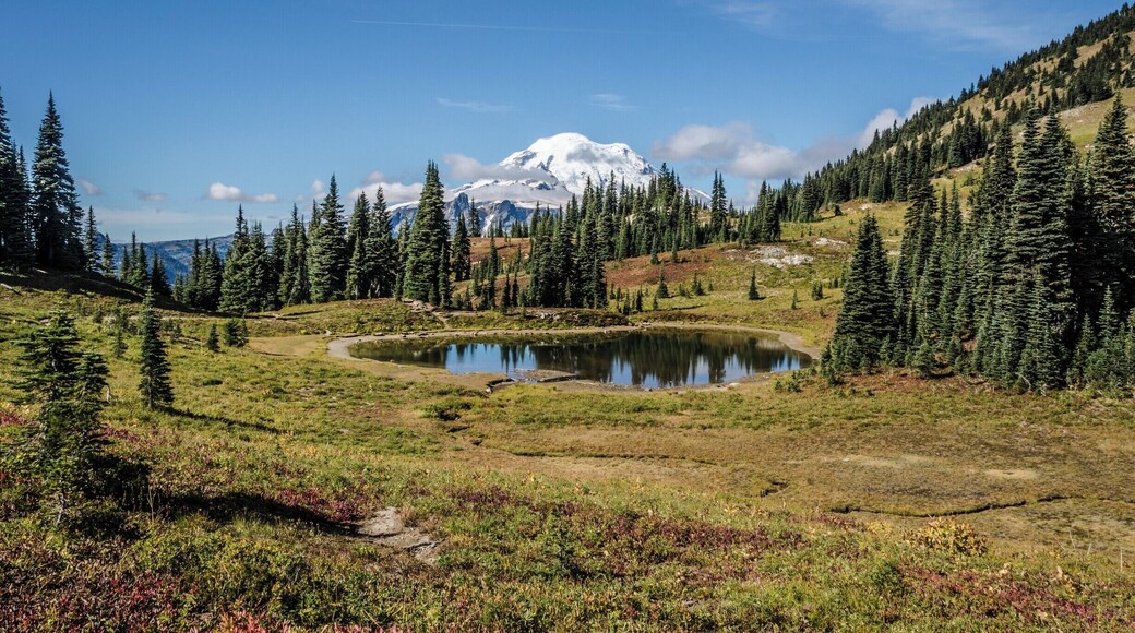 Easy trail with great views of Mt Rainier
#lifeatexpedia #GreatOutdoors #Nature