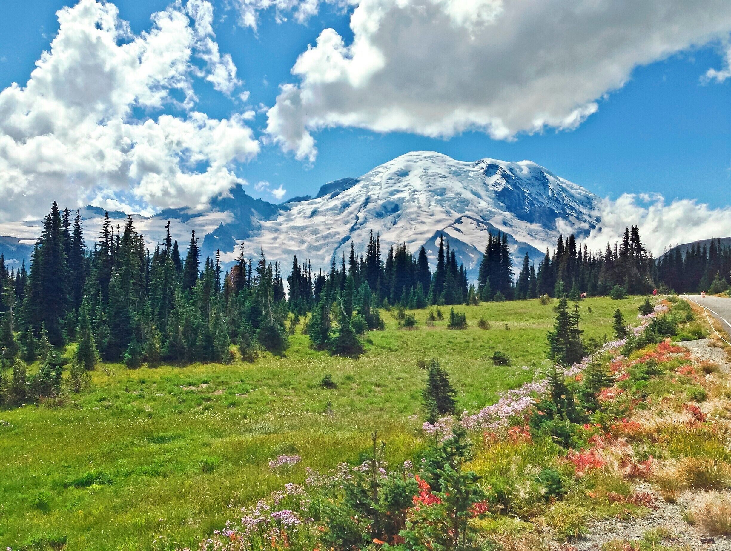 Wildflowers skirt the road leading to Mount Rainier's highest visitor center (6400ft / 1950m).  Some great hiking trails depart from here - the ones through the lush valley are quite tame, while others ascend nearby peaks for unique views of the mountain and it's glacier packed east slope.

The road is only open about three months each year, and the visitor center even less, so plan you visit for July or August to take advantage of the nice facilities.