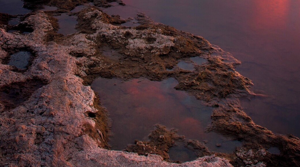 A lack of recent rainfall exposed this clay bank along Wright Patman Lake in Bowie County, Texas. Beginning in 800 a.d., Caddo Indians used clay from this region to make their famous pottery. The earthenware pots were made by hand and fired in an open fire. Impurities in the clay had to be removed by hand or sieved out before making fine pottery.
#bvstrove #texas #travel #history #water #sunset #etx
