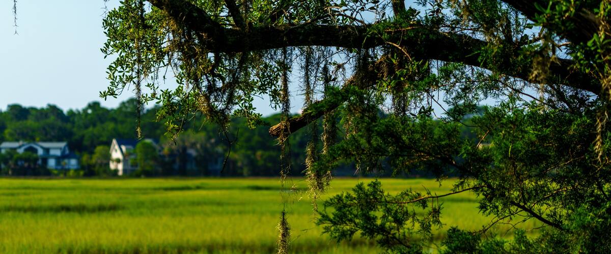Seabrook Jenkin's Point Marsh View