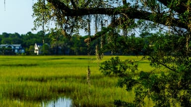 Seabrook Jenkin's Point Marsh View