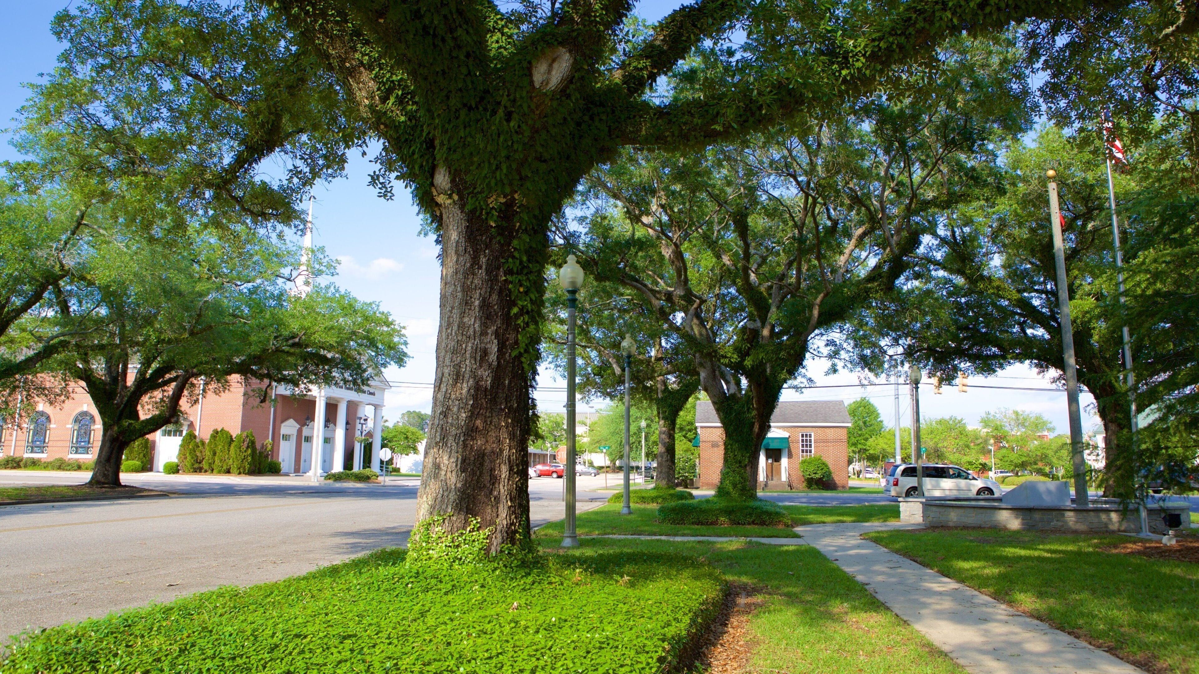 Bay Minette showing a park