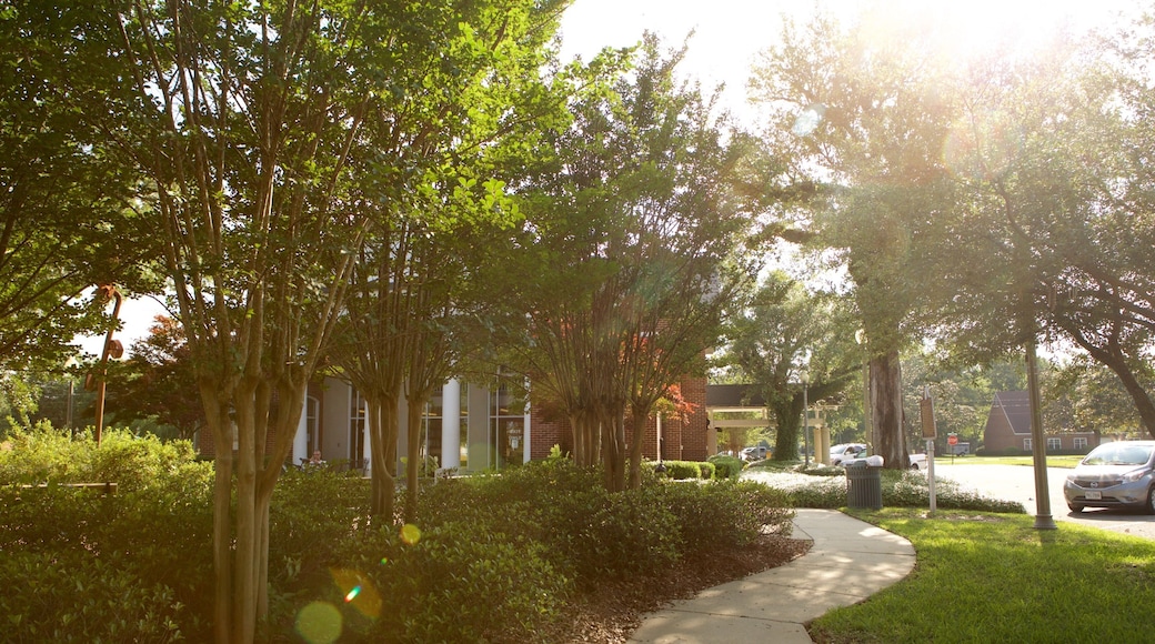 Bay Minette