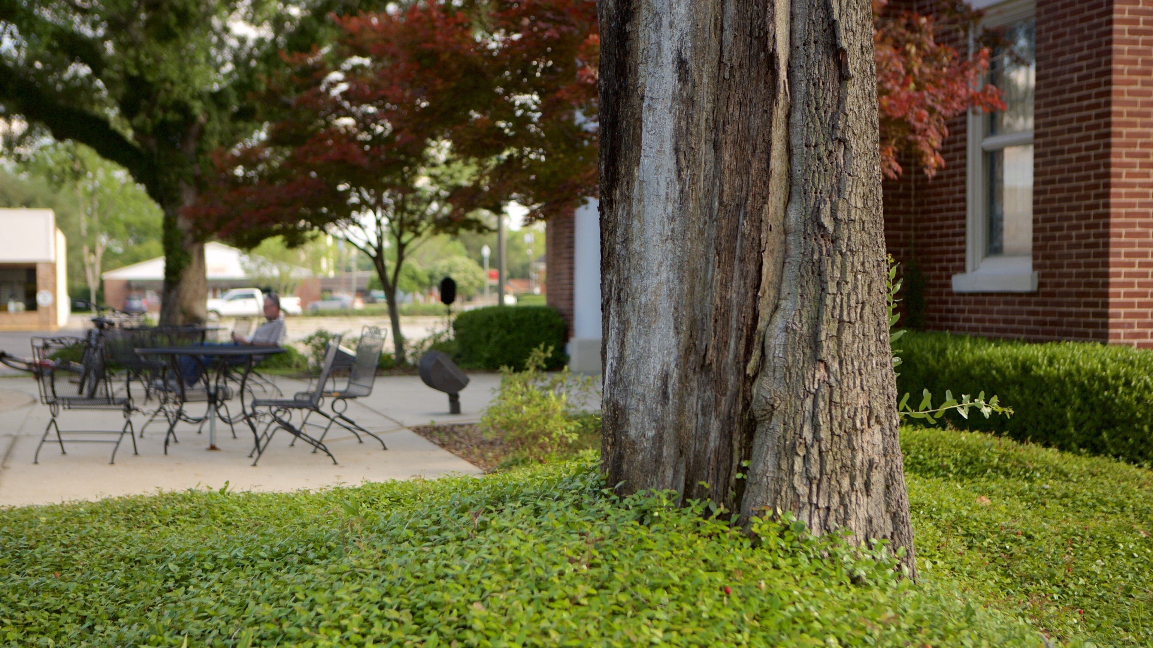 Bay Minette showing a garden