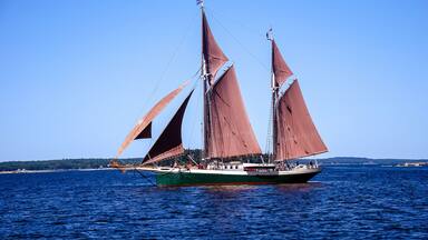Red Sails Windjammer