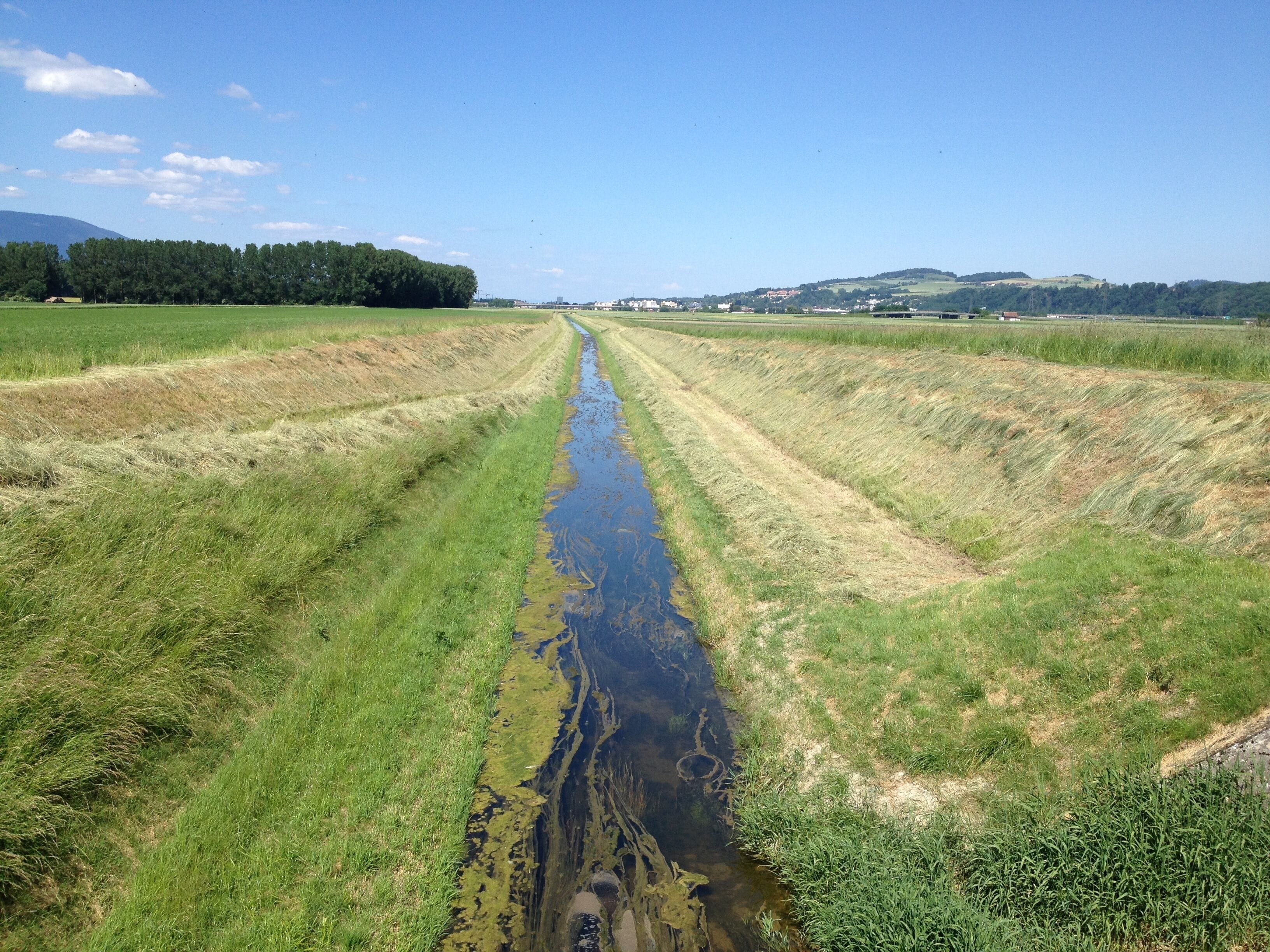 Le canal oriental (partie du canal d'Entreroches) dans la plaine de l'Orbe. sur la commune d'Épendes (Vaud), avec Yverdon-les-Bains en arrière-plan.