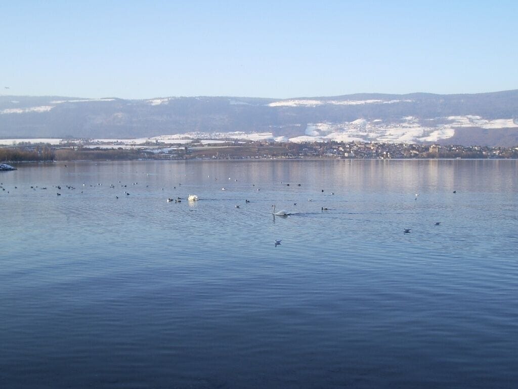 Image of Neuenburgersee lake (lac Neuchâtel in French) from Yverdon-les-Bains. Grandson village can be seen on the other side of the lake.