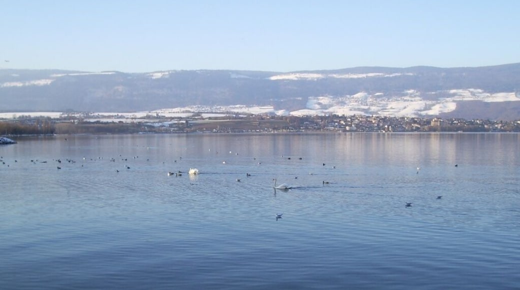 Image of Neuenburgersee lake (lac Neuchâtel in French) from Yverdon-les-Bains. Grandson village can be seen on the other side of the lake.