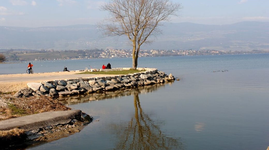 Lac de Neuchâtel
