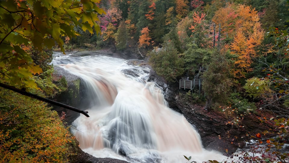 A waterfall surrounded by autumn foliage.