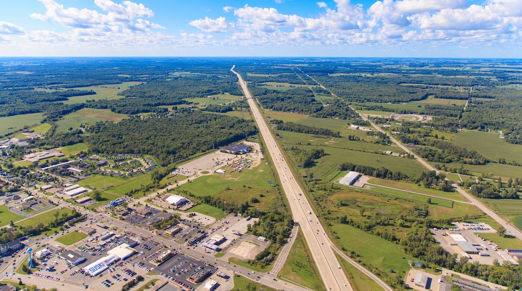 Birch Run which includes tranquil scenes and landscape views