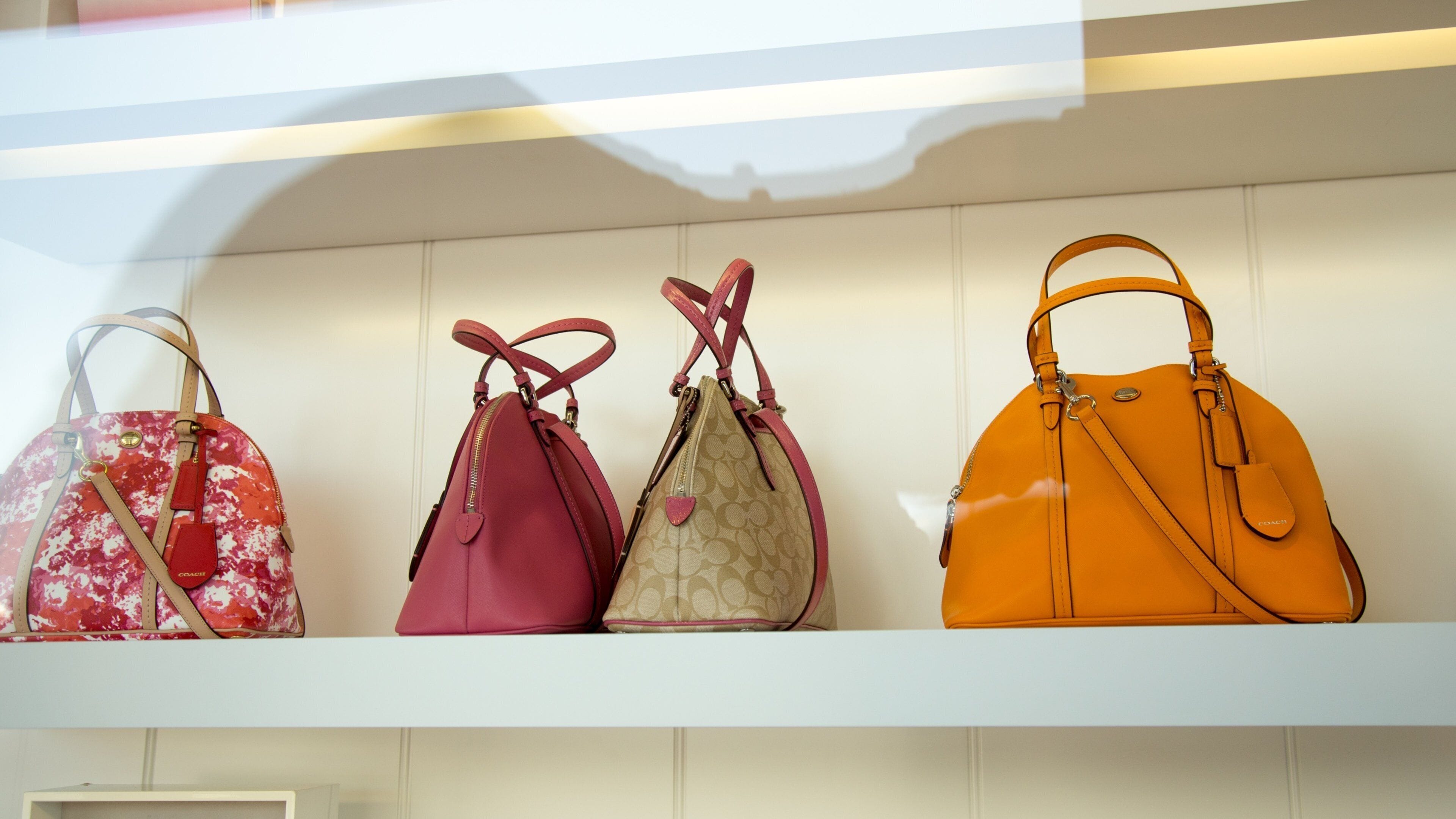 Birch Run featuring interior views and shopping