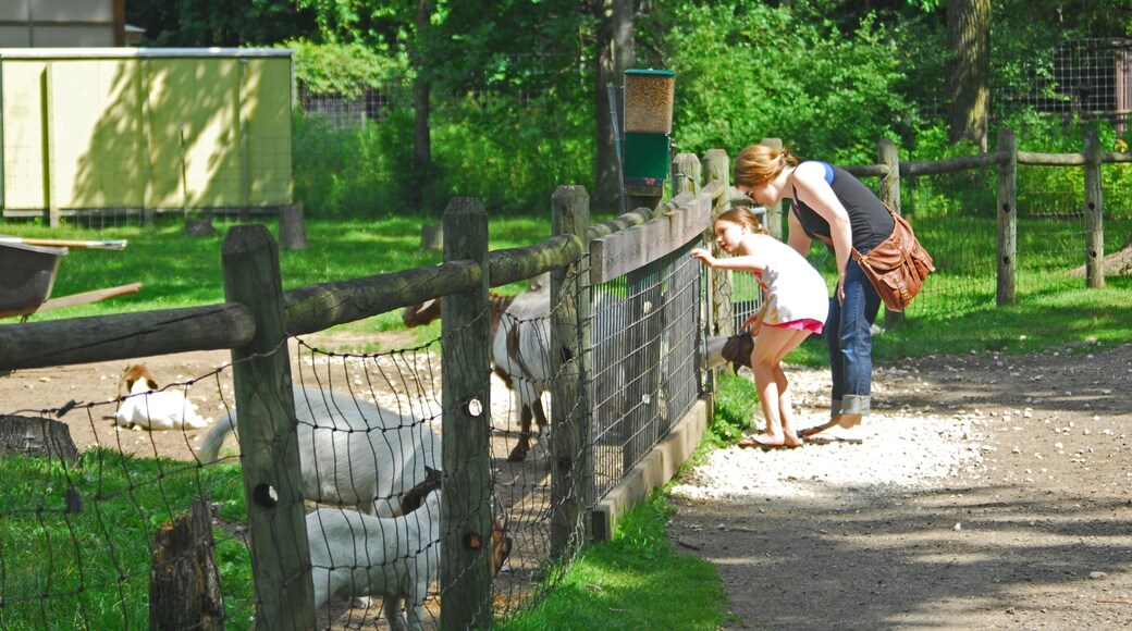 Birch Run featuring zoo animals as well as a family