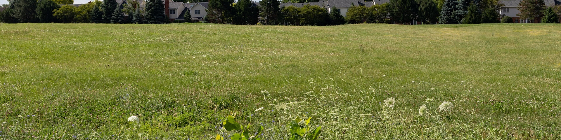 Green Grass Field in Suburban Bolingbrook Illinois during Summer with Houses in the distance