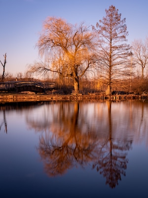 evening light over a lake