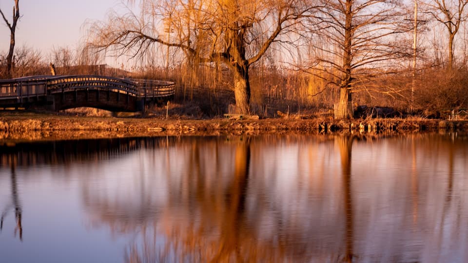 evening light over a lake