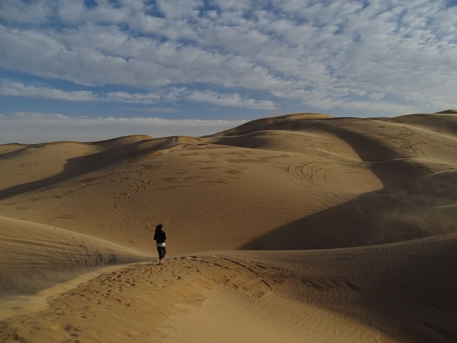 Hiking around and over sand dunes that stretch for miles is pretty amazing. I imagine myself somewhere other than California!
#hike #dunes #travel #desert #explore #remote #wild #nature #amazing #rv #roadtrip #sand