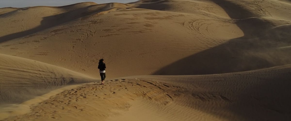 Hiking around and over sand dunes that stretch for miles is pretty amazing. I imagine myself somewhere other than California!
#hike #dunes #travel #desert #explore #remote #wild #nature #amazing #rv #roadtrip #sand