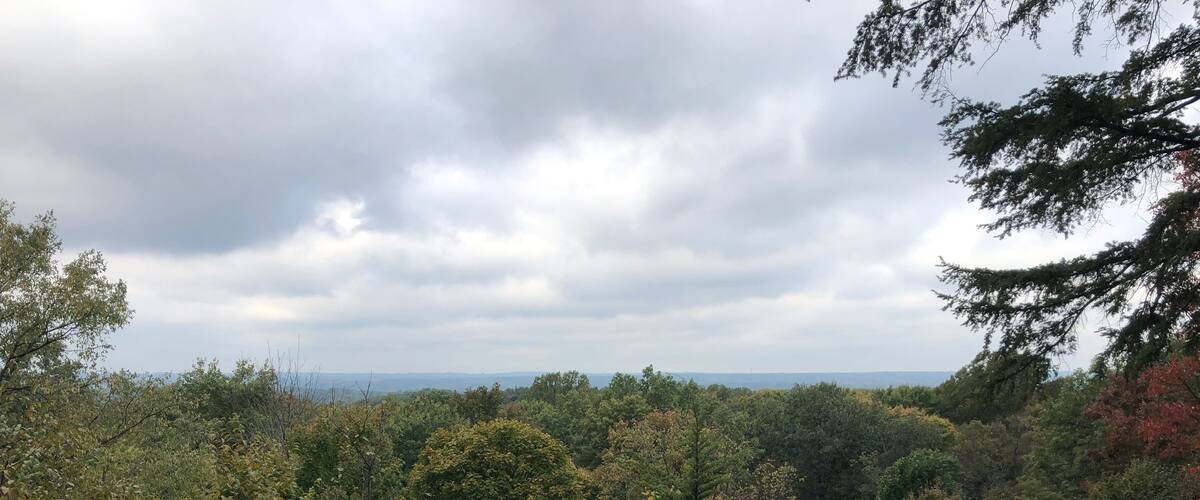 A person standing on a rocky outcrop overlooking a dense forest with a cloudy sky.